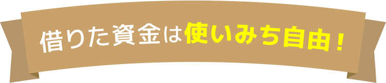借りた資金は使いみち自由！